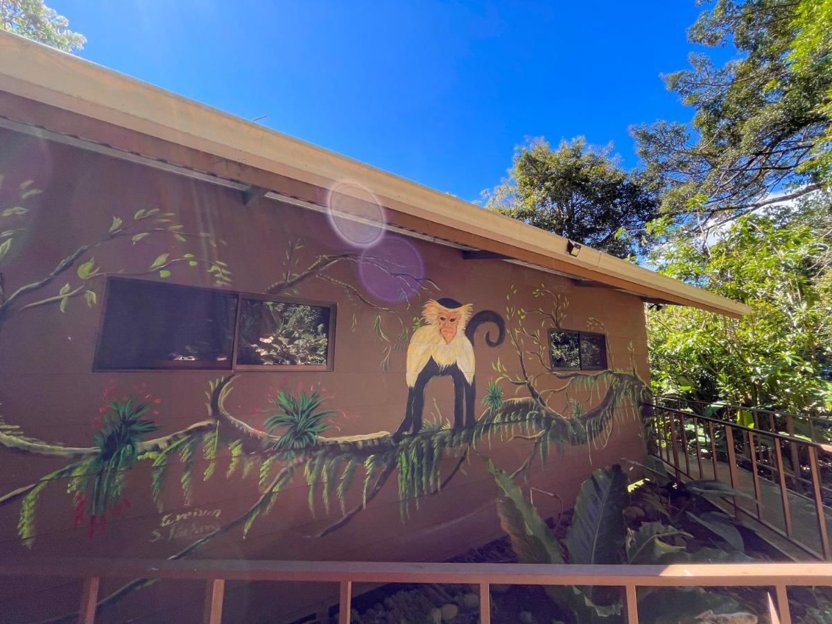 La Casa De La Montana Bed & Breakfast Monteverde Exterior photo